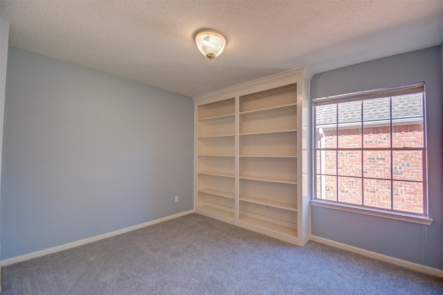 11715 Orchard Mountain Dr, Pasadena, TX 77059 - spare room with carpet floors, healthy amount of natural light, and a textured ceiling