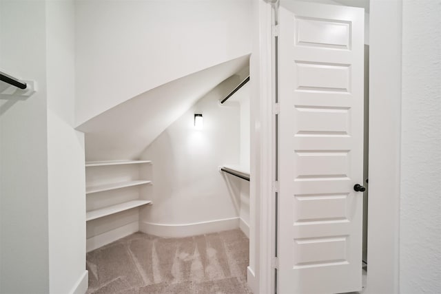17794 Misty Brook Ln, Conroe, TX 77302 - walk in closet with carpet flooring