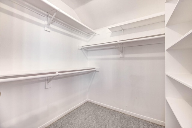 16023 Cutten Rd, Houston, TX 77070 - walk in closet with carpet flooring