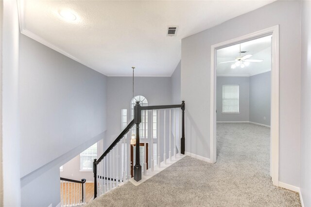 16023 Cutten Rd, Houston, TX 77070 - hall featuring an upstairs landing, carpet floors, and crown molding