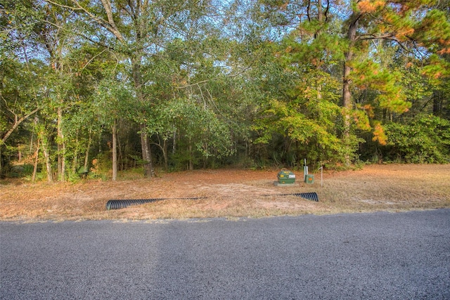 5 W Forest Dr, Huntsville, TX 77340 - photo 5
