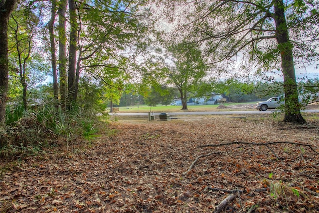 5 W Forest Dr, Huntsville, TX 77340 - photo 7