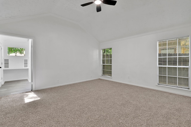 5426 Garden Village Dr, Houston, TX 77339 - photo 10