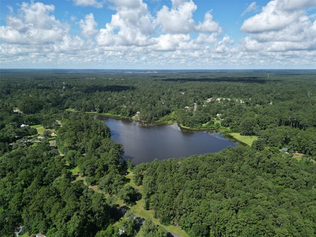 00 Red Oak Dr, Plantersville, TX 77363 - photo 5