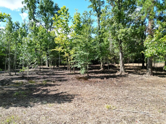 00 Red Oak Dr, Plantersville, TX 77363 - photo 7
