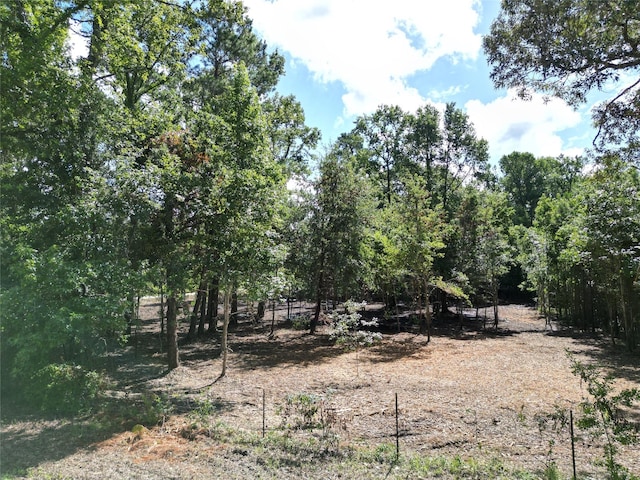 00 Red Oak Dr, Plantersville, TX 77363 - photo 9