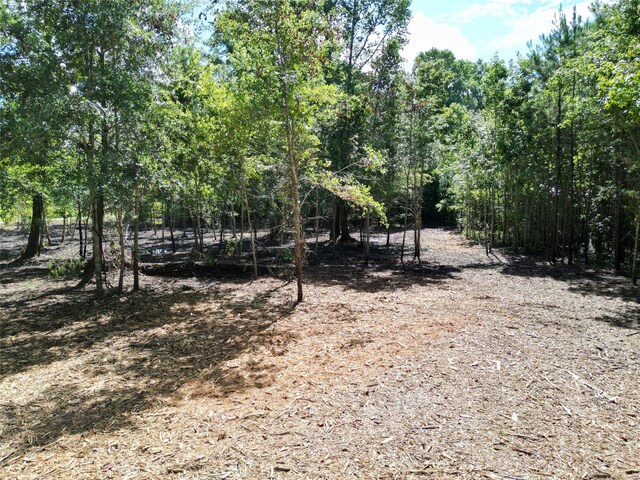 00 Red Oak Dr, Plantersville, TX 77363 - photo 10