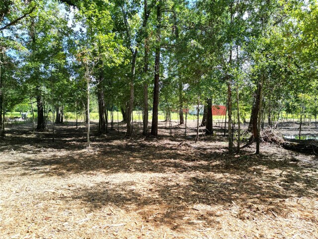 00 Red Oak Dr, Plantersville, TX 77363 - photo 11