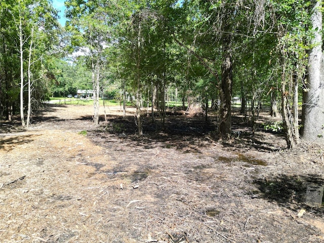 00 Red Oak Dr, Plantersville, TX 77363 - photo 13