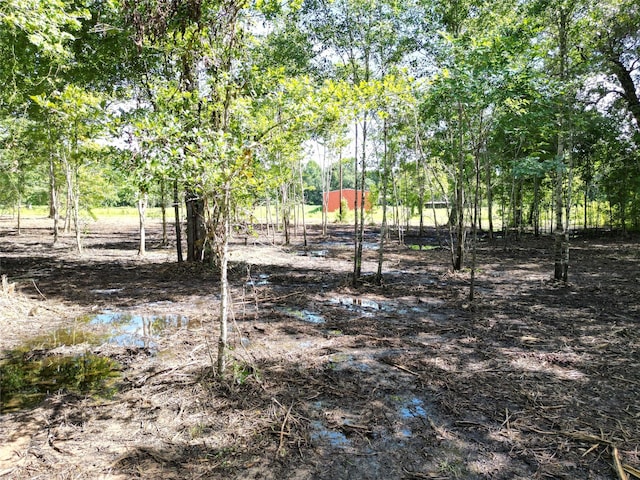 00 Red Oak Dr, Plantersville, TX 77363 - photo 14