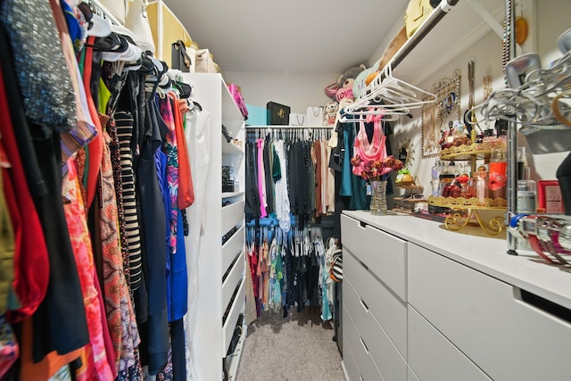 1205 Citruswood Trail Ln, Rosenberg, TX 77471 - walk in closet featuring carpet floors