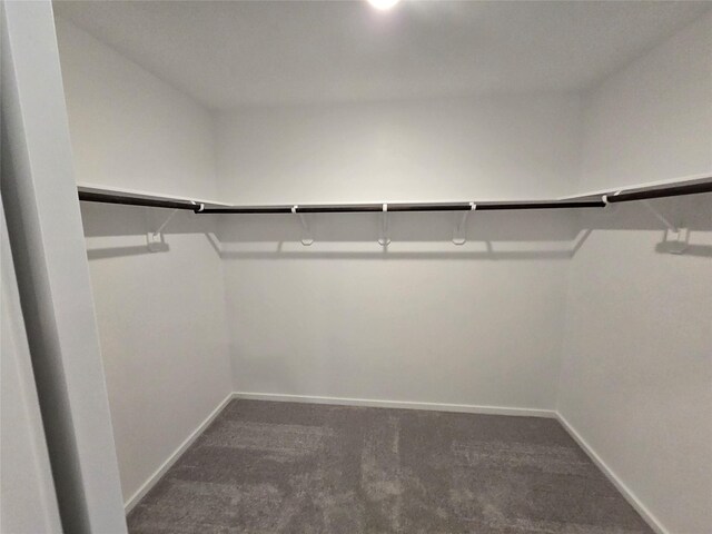 5203 Lake Trout Ln, Baytown, TX 77521 - spacious closet featuring carpet floors
