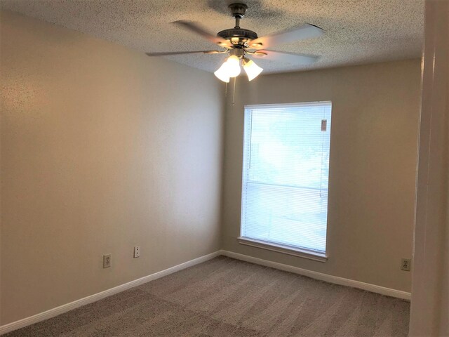 2826 S Bartell Dr Unit 29, Houston, TX 77054 - photo 6