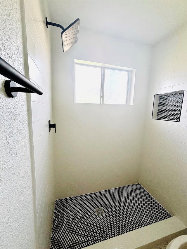 16246 Los Altos Dr, Houston, TX 77083 - full bathroom with tiled shower