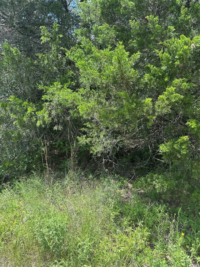 0 Chestnut Dr, Caldwell, TX 77836