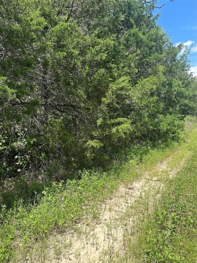 0 Chestnut Dr, Caldwell, TX 77836