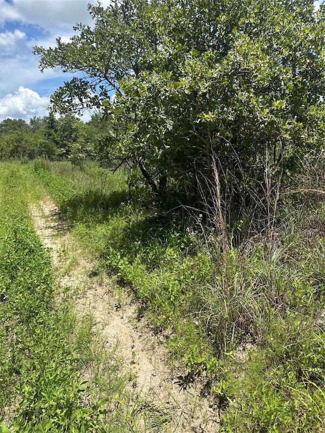 0 Chestnut Dr, Caldwell, TX 77836
