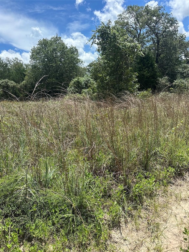 0 Chestnut Dr, Caldwell, TX 77836
