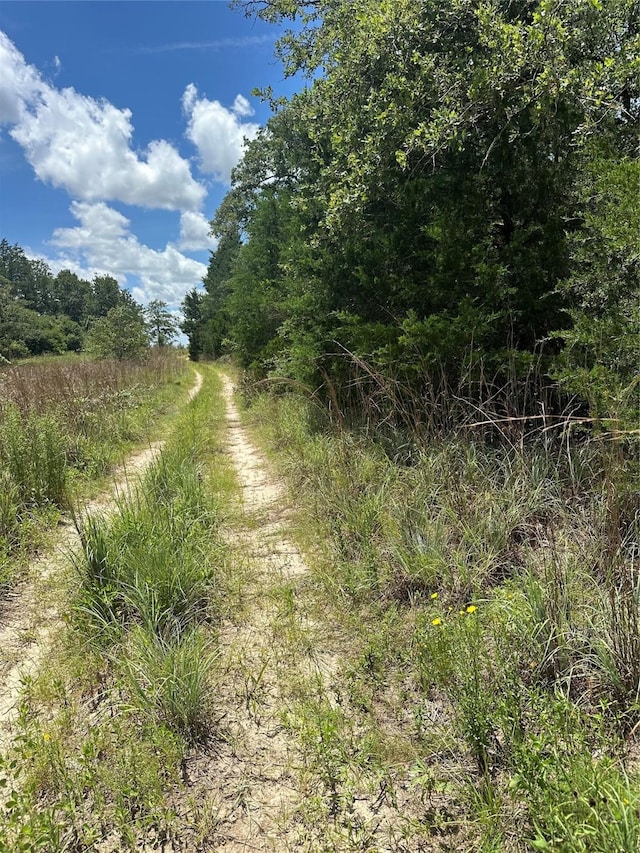 0 Chestnut Dr, Caldwell, TX 77836