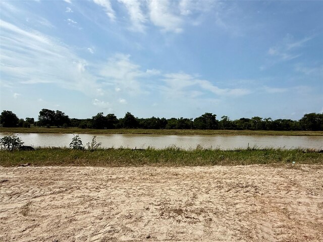 24539 Upper Turtle Lake Ln, Katy, TX 77493 - photo 10