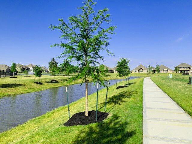 24539 Upper Turtle Lake Ln, Katy, TX 77493 - photo 32