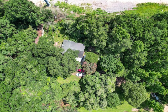 26028 Hardin Store Rd, Magnolia, TX 77354 - photo 22