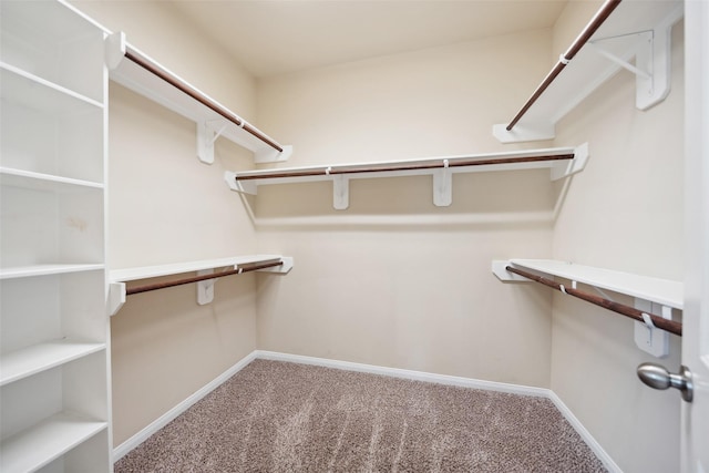 1306 S Maple Dr, Katy, TX 77493 - walk in closet featuring carpet