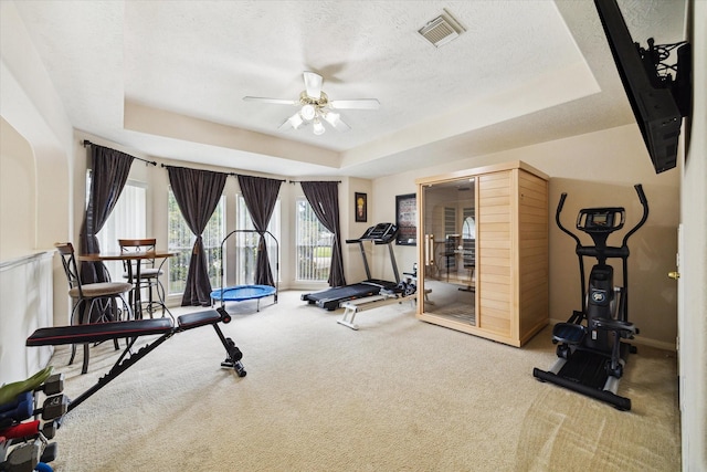 17326 Mesquite Brush Ln, Houston, TX 77095 - workout room featuring carpet flooring, a ceiling fan, a raised ceiling, and a textured ceiling