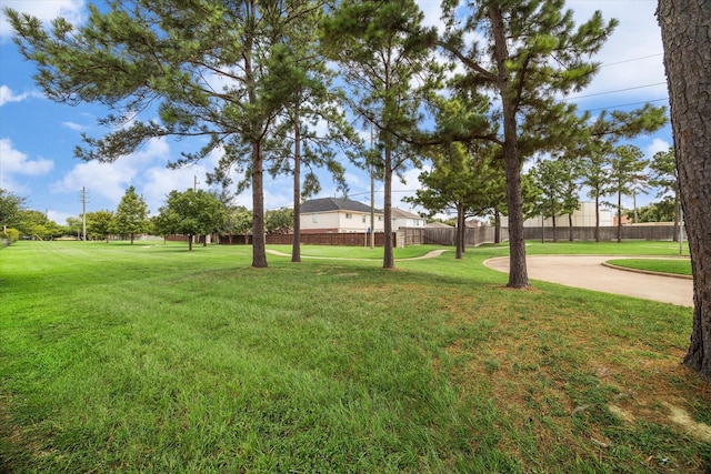 17326 Mesquite Brush Ln, Houston, TX 77095 - view of yard