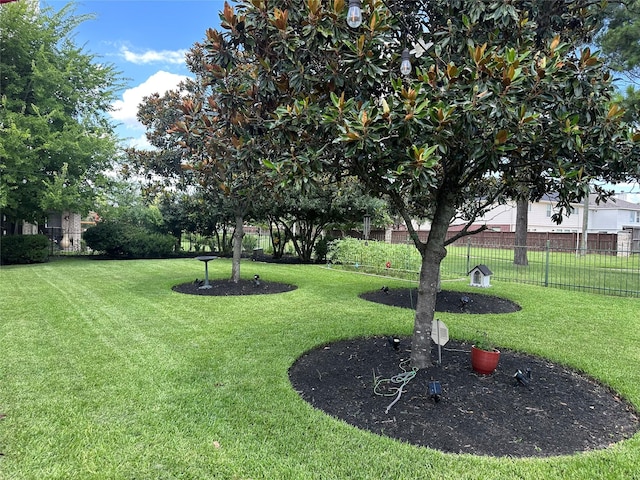 17326 Mesquite Brush Ln, Houston, TX 77095 - view of yard