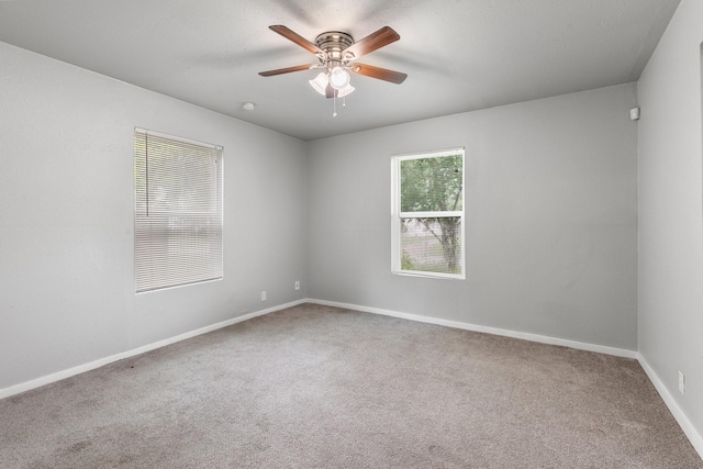 4735 Marietta Ln, Houston, TX 77021 - photo 20