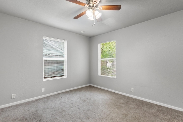 4735 Marietta Ln, Houston, TX 77021 - photo 21