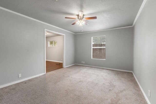 4735 Marietta Ln, Houston, TX 77021 - photo 22