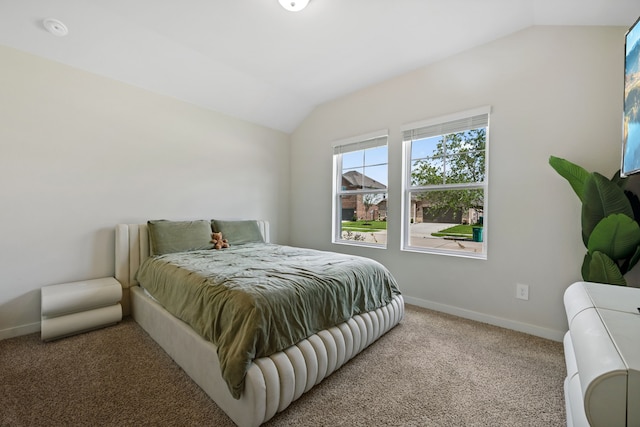 1318 Cascade Hills Dr, Rosharon, TX 77583 - photo 19