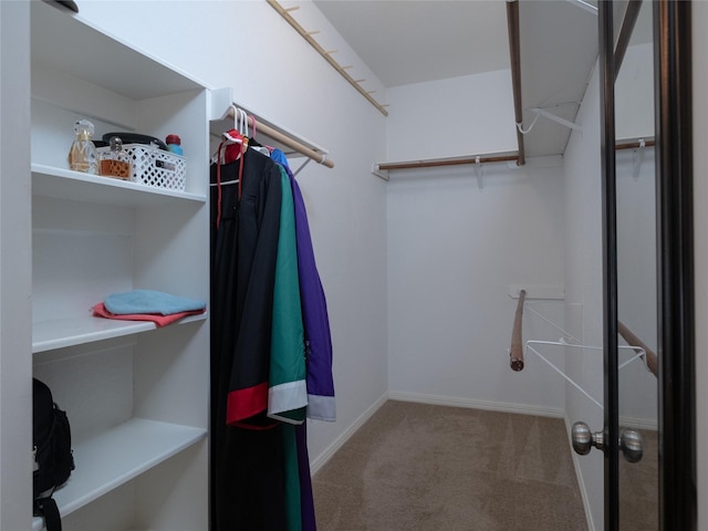 19327 Dickson Park Dr, Spring, TX 77373 - spacious closet featuring carpet