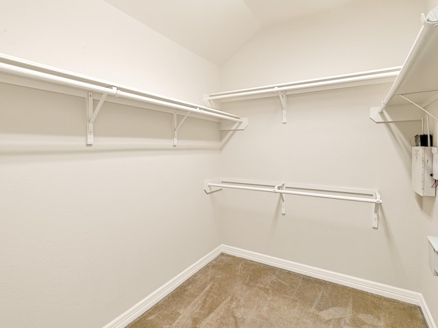 10163 Rose Willow Ln, Brookshire, TX 77423 - spacious closet with light carpet and lofted ceiling