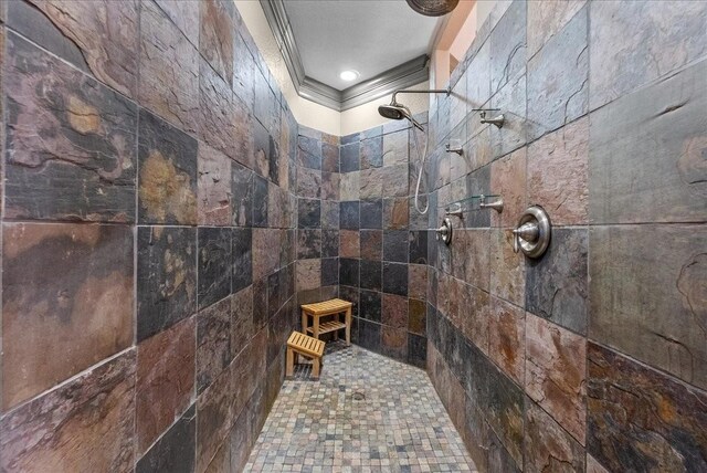 1273 County Road 201a, Angleton, TX 77515 - full bathroom with crown molding and a tile shower
