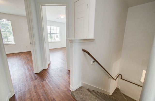 15446 Bammel Fields Ct, Houston, TX 77014 - photo 27