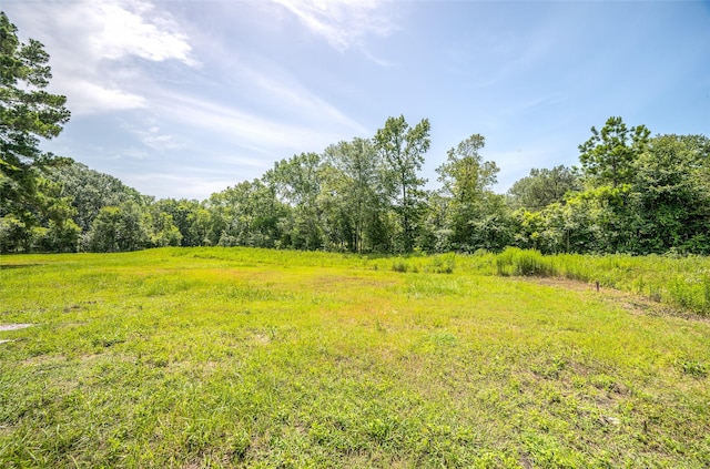 1205 Ada St, New Waverly, TX 77358 - photo 2