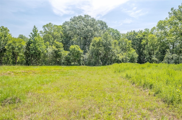 1205 Ada St, New Waverly, TX 77358 - photo 4