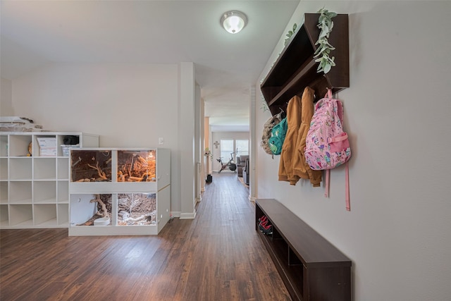 12005 Green Falls Dr, Pearland, TX 77584 - hallway featuring wood finished floors and baseboards
