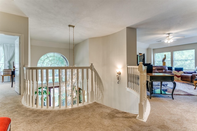 2810 Grassy Knoll Ct, Sugar Land, TX 77478 - photo 33