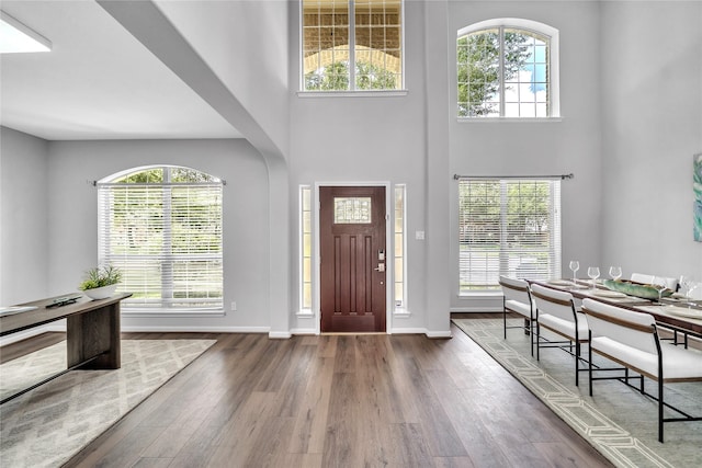 21142 Granite Trail Ln, Richmond, TX 77407 - entryway featuring wood finished floors and a towering ceiling