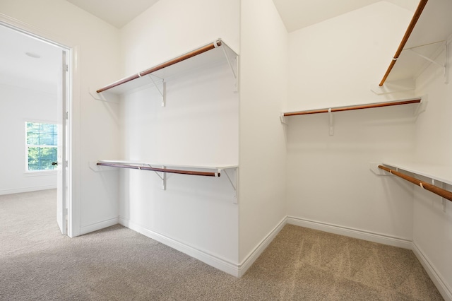 2202 Hilshire Terrace Ct, Houston, TX 77080 - photo 28
