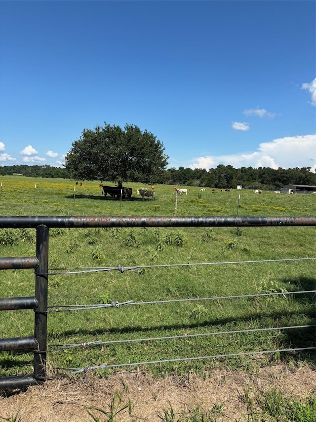 585 Industrial Park Blvd, Trinity, TX 75862 - photo 3