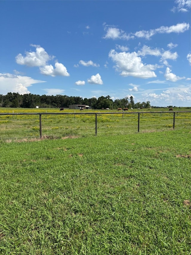 585 Industrial Park Blvd, Trinity, TX 75862 - photo 4