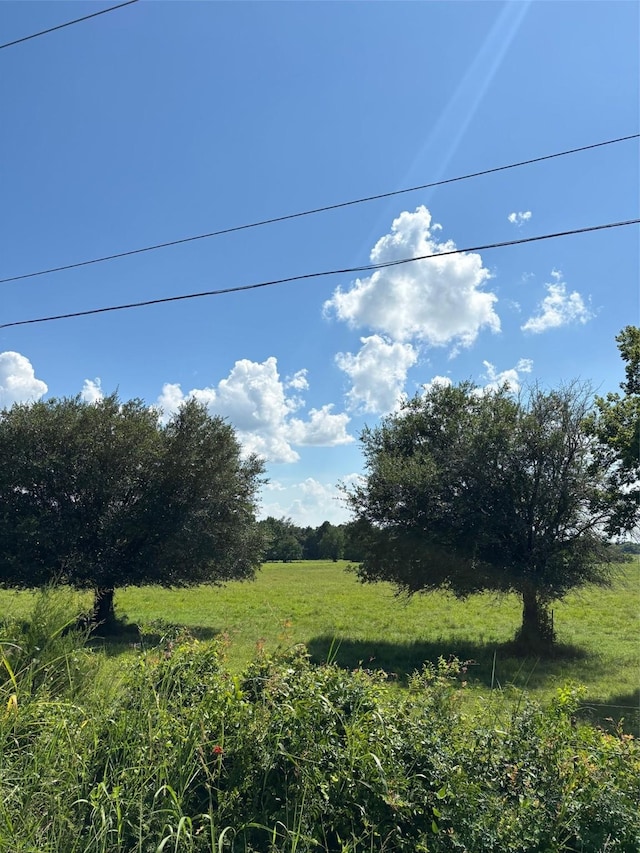 585 Industrial Park Blvd, Trinity, TX 75862 - photo 26