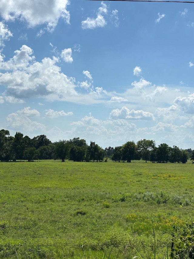 585 Industrial Park Blvd, Trinity, TX 75862 - photo 27