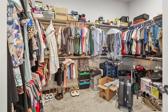 4802 Wagtail Way Ln, League City, TX 77573 - spacious closet with carpet floors