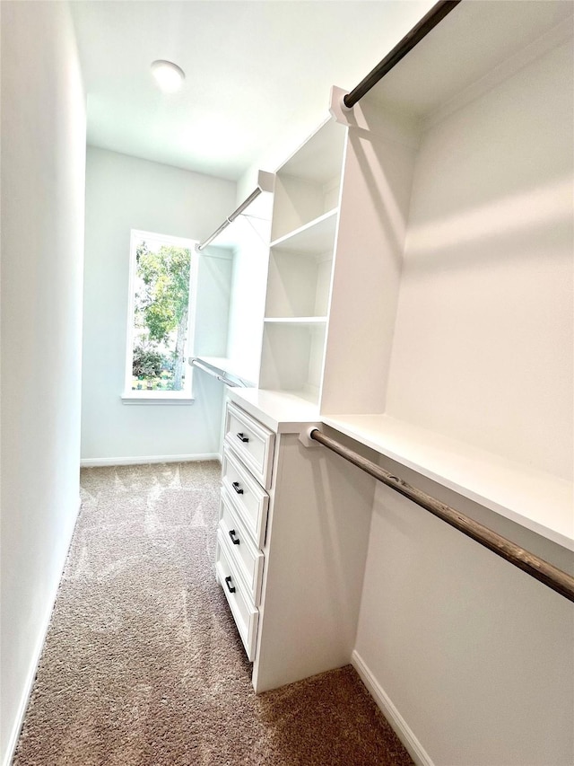 153 Treasure Dr, Houston, TX 77076 - walk in closet with carpet floors